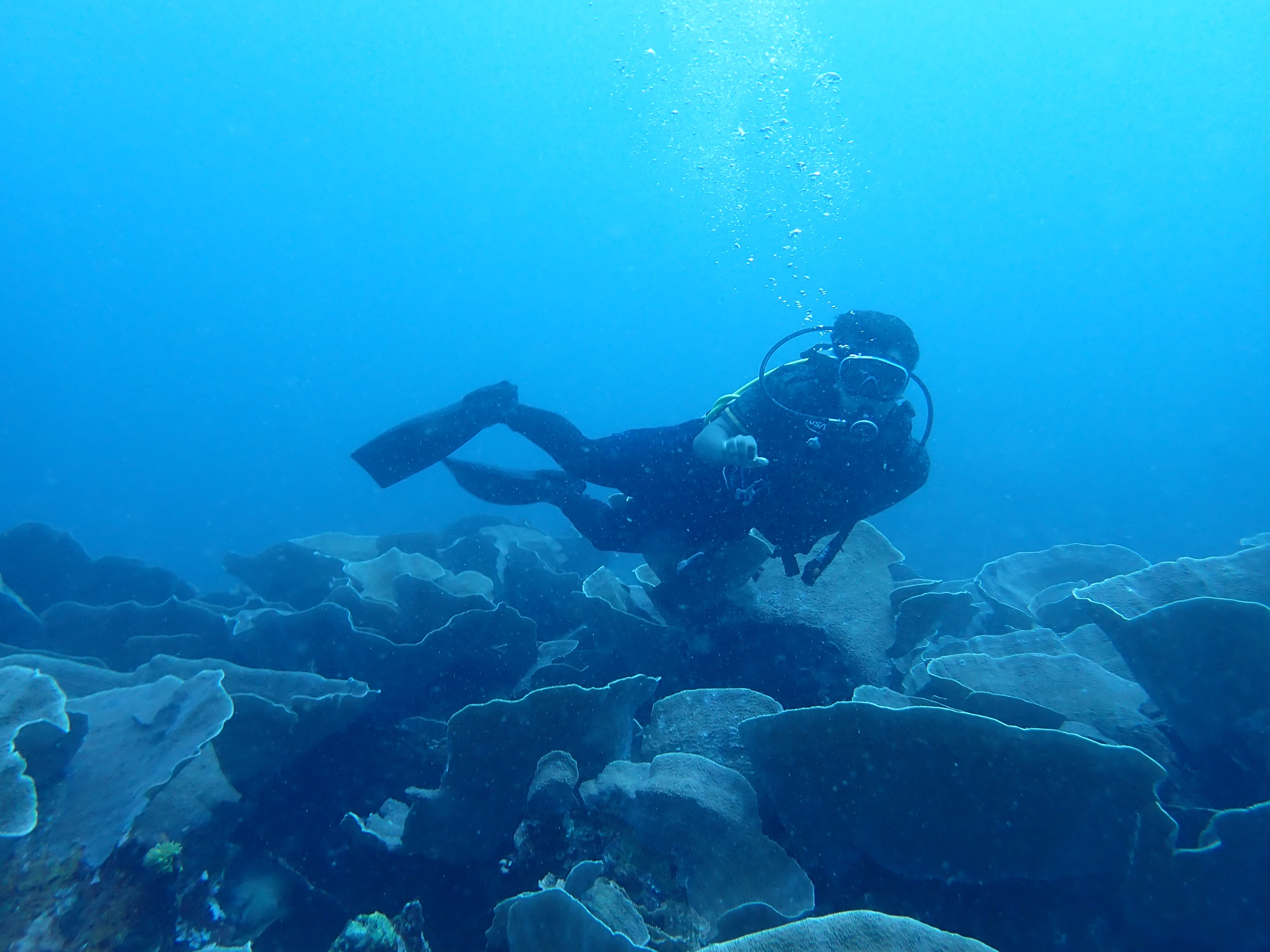 Diving di Karampuang